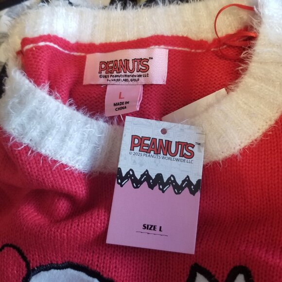 Peanuts Be My Valentine Sweater (Charlie Brown) - Picture 9 of 13